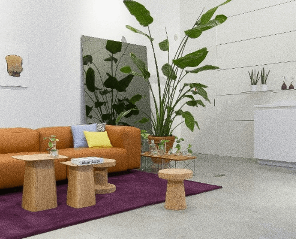 What Are Solana Priority Fees